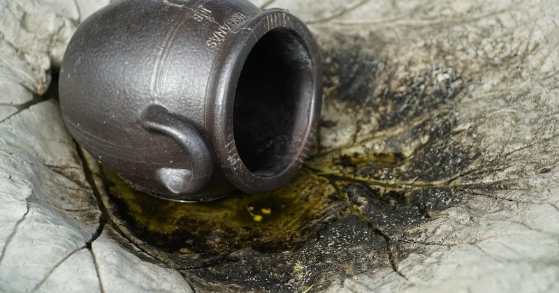 Wie die Hornhaut am Auge aufgebaut ist – und warum das zählt