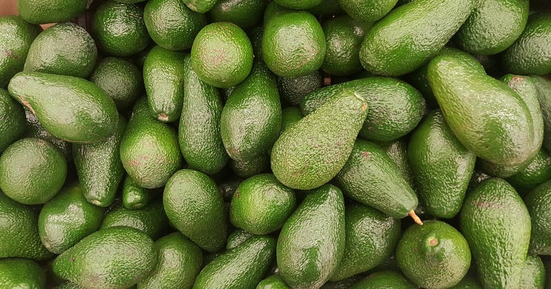Avocado Salat: 5 cremig-frische Rezepte für jeden Tag