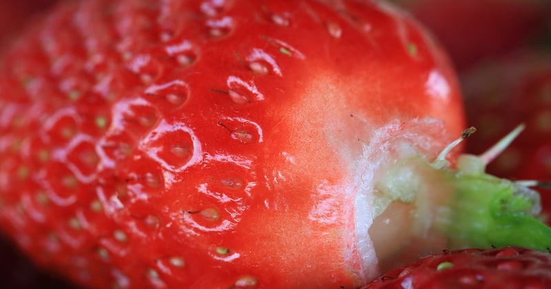 Wassermelone gesund: 5 überraschende Vorteile für deinen Körper