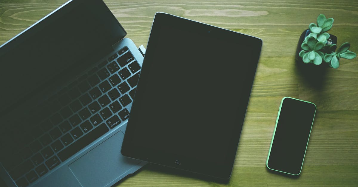 entdecken sie die neuesten gadgets, die ihr leben einfacher und spannender machen! von innovativen haushaltsgeräten bis hin zu praktischen tech-tools - finden sie die perfekten begleiter für den alltag.