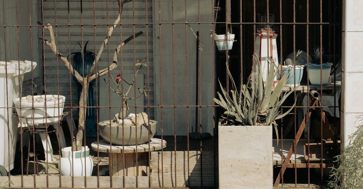 entdecken sie die welt des urban gardening! lernen sie, wie sie in städtischen räumen pflanzen anbauen und ein nachhaltiges grünes umfeld schaffen können. tipps, ideen und anleitungen für ihre eigene grüne oase im herzen der stadt.
