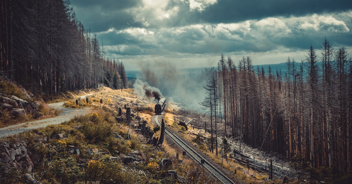 entdecken sie nachhaltiges reisen: erfahren sie, wie sie umweltfreundliche entscheidungen treffen und unvergessliche erlebnisse in harmonie mit der natur genießen können.