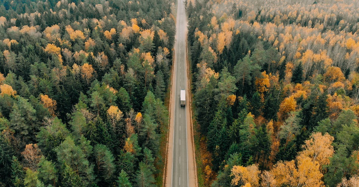 entdecken sie nachhaltiges reisen: tipps und inspiration für umweltfreundliche reiseziele, bewusste mobilität und ethischen tourismus.